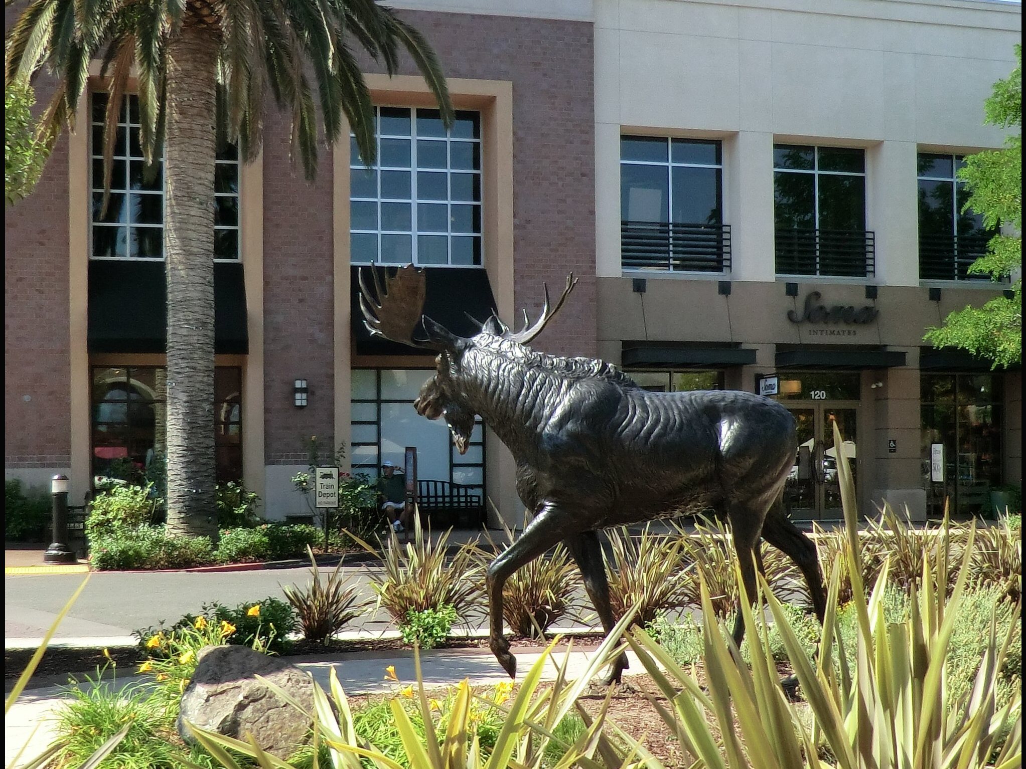Bronze moose statue in a landscaped shopping area in Roseville, California