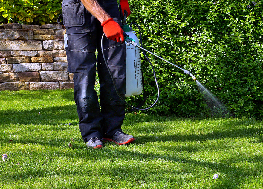 A technician applying a pet-safe enzymatic deodorizing treatment to a green lawn with a handheld sprayer